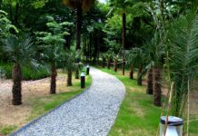 ზუგდიდის ბოტანიკურ ბაღში სამუშაოები ოქტომბრის ბოლოს დასრულდება