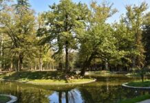 ზუგდიდის ბოტანიკურ ბაღში შესვლის სავარაუდო ფასები