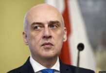 როგორ მიიღეს და რა გზავნილი ჩამოიტანა დავით ზალკალიანმა ვაშინგტონიდან