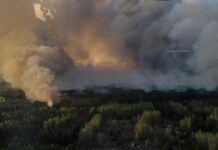 ხანძრის ერთი ლოკალიზებული, ორი ღია კერა – ჩერნობილის ატომურ სადგურთან ახლოს უკვე მესამე დღეა ტყე იწვის