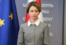 ვირუსის პიკურ სტადიას შესაძლოა, ველოდოთ აპრილის მეორე ნახევრიდან – ეკატერინე ტიკარაძე