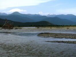 მაშველები კახეთში, ალაზნის ნაპირებზე დაკარგულ 80 წლის მამაკაცს ეძებენ
