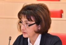 პრემიერს რომ ხალხის გაჭირვება ესმოდეს, შეცვლილ ბიუჯეტს დროულად შემოიტანდა პარლამენტში – ნატო ჩხეიძე
