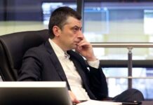 გიორგი გახარია წიწილების დათვლას შემოდგომაზე აპირებს: “ქართული ოცნების” ახალი სახე ვეღარ ვიქნები, რადგან ერთხელ უკვე ვიყავი, ამაში დარწმუნებული ვარ”
