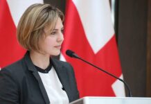 ანა დოლიძემ იუსტიციის უმაღლესი საბჭო დატოვა