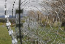 ცხინვალის რეჟიმის მიერ დაკავებული მალხაზ ლეჟავა თავისუფალია