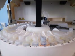 კორონავირუსი შსს-ს 11 თანამშრომელს დაუდასტურდა, მათ შორის 3 მესტიის კლასტერია