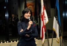 შერიგებისა და სამოქალაქო თანასწორობის საკითხებში სახელმწიფო მინისტრად თეა ახვლედიანი დაინიშნა