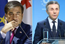 ორთავიანი დევი და უთავო ოპოზიცია