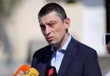 რას და ვის ადანაშაულებს გიორგი გახარია პანიკის თესვაში – მედიას, ოპოზიციას თუ ყველას და ყველაფერს ერთად საკუთარი უნიათობის გარდა?