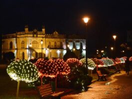 გიგი უგულავა: თუ საჭიროა შეზღუდვები, საახალწლოდაც საჭიროა. პანდემია საახალწლოდ ისვენებს?