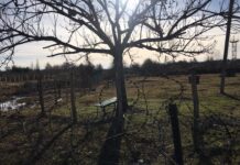 სოფელ ფახულანის მიმდებარედ საოკუპაციო რეჟიმმა ახალი მავთულხლართები გაავლო – სუსი