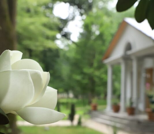 ზუგდიდის ბოტანიკური ბაღი დროებით დაიხურა-მიზეზი ძლიერი ქარია