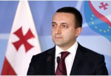 “ნიკა მელია არის ჩვეულებრივი კრიმინალი” – ირაკლი ღარიბაშვილი