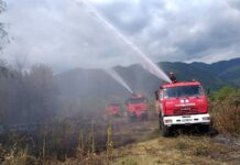 გრიგოლეთში ძლიერი ხანძარია