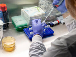 260 ახალი შემთხვევა, 15 გარდაცვლილი – კორონავირუსის ახალი სტატისტიკა