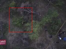 ავსტრალიელ ქალს დაზიანება თავში მიაყენეს, ასევე გაძარცვეს – მკვლელობის დეტალები