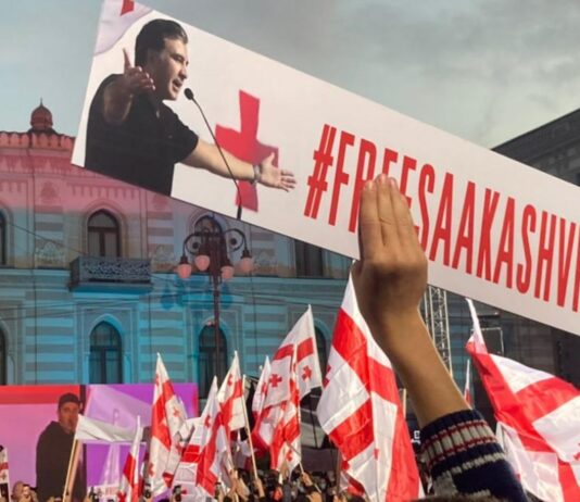 თავისუფლება მიშას! – 8 დეკემბრიდან ეროვნული შერიგების და მესამე პრეზიდენტის გათავისუფლების კამპანია იწყება