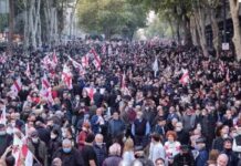 ,,პროდასავლელი პრეზიდენტი ციხეშია, უკვე 2 კვირაა საქართველოში მისი მხარდასაჭერი აქციები იმართება” – გერმანული გამოცემა Tagesschau