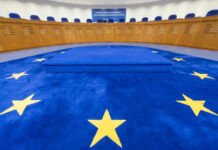 “მოვუწოდებ ყველას, პატივი სცენ სტრასბურგის გადაწყვეტილებას და იმოქმედონ რაც შეიძლება სწრაფად, რათა ის შესრულდეს.” – კარლ ჰარცელი