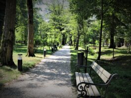 ენმ ბოტანიკურ ბაღში შესვლაზე დაწესებული საფასურის გაუქმებას ითხოვს