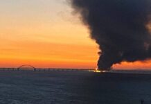 ტრაილერის მძღოლმა შეკვეთა ინტერნეტით აიღო და საქართველოც გაიარა – ახალი დეტალები ყირიმის ხიდის საქმეში