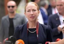 ნებისმიერი რამ, რაც ასუსტებს ან საფრთხეს უქმნის მედიის თავისუფლებას, ასუსტებს დემოკრატიას – დეგნანი