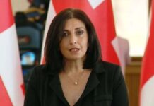 პარლამენტში ფორმდება საქართველოს გასაბჭოება – კორძაია