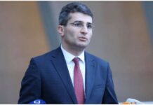 “რაც ჩვენ სალომე ზურაბიშვილის არჩევისთვის ვიწვალეთ, ახია ჩვენზე” – მდინარაძე