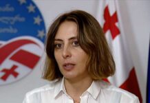 დარწმუნებული ვარ, ლავროვის შვილის ჩამოსვლა რუსულ ფსბ-თან იყო შეთანხმებული – დეკანოიძე