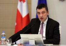 “ოცნება” ღიად ანტიდასავლური, ანტიდემოკრატიული ძალაა – გახარია