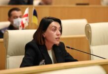 რაც გინდათ ის დაუძახეთ, ვინ არის ამ განცხადების ავტორი? დაიხმარეთ დარბაზი – წითლიძის შეკითხვები ღარიბაშვილს