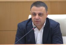 რამდენი რეზოლუციაც არ უნდა მიიღონ, ყველა არახამია რომ გახდეს, ვერაფერს შეცვლიან – ღუდუშაური