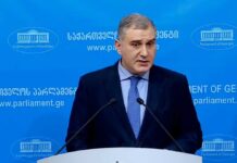 გაუგებარია, რა შეიძლება მოეგო ენმ-ს გიორგი ვაშაძესთან ალიანსით – სარჯველაძე