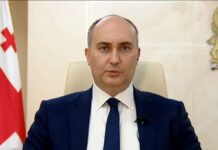 მე იქ ვიყავი და ვერ დავინახე, რაიმე წინაპირობა ყოფილიყო მეწყერის – ბურჭულაძე შოვზე