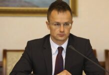 პიტერ სიიარტო – საქართველომ შემოდგომაზე უნდა მიიღოს კანდიდატის სტატუსი