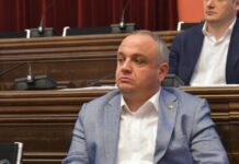 დეპუტატი თოლორაია დეკლარაციაში 3 უძრავ ქონებასა და ოჯახის სამეწარმეო საქმიანობას არ უთითებს – TI