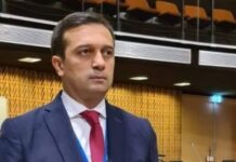 სახალხო დამცველის მიერ ამ გადაწყვეტილების შეფასება ან რევიზია, შეუძლებელია | იოსელიანი საკონსტიტუციოზე
