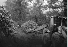 სოფელ ჯუმათში არასრულწლოვანის ცხედარი იპოვეს, ჯანჯახირში მეოთხეკლასელს ეძებენ – სტიქია გურიაში