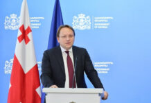 საქართველოს მთავრობამ 12-დან 3 პრიორიტეტი შეასრულა – ოლივერ ვარჰეი