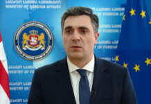 იმპიჩმენტი ერთადერთი გზაა, რომ მოვახდინოთ რეაგირება კონსტიტუციის დარღვევაზე