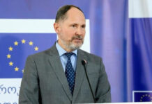 პრეზიდენტის იმპიჩმენტი საქართველოს არ დაეხმარება – პაველ ჰერჩინსკი