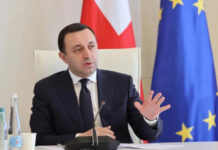 ვენეციის კომისიამ ღარიბაშვილის მთავრობის შემუშავებული სპეციალური გეგემა დეოლიგარქიზაციის შესახებ, არ განიხილა