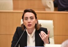 უტიფრობის, თავხედობის და საკუთარი კორუფციული შინაგანი არსის გადაფარვის მცდელობაა – დეკანოიძე პრემიერზე