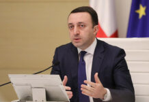 უკანონოდ სახელმწიფოს კუთვნილი სასოფლო-სამეურნეო მიწის დარეგისტრირებაზე ამნისტია გავრცელდება – ღარიბაშვილი