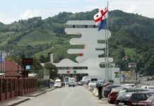 სარფში მოქალაქე ნარკოტიკული ნივთიერების შემცველი მედიკამენტების მალულად შემოტანას ცდილობდა – შემოსავლები