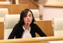 მე რომ მონა დაგიძახოთ და ეს გააშუქოს მედიამ, დაჯარიმდება? – წითლიძე “ოცნებას”