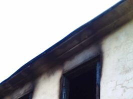 ზუგდიდში, კოსტავას ქუჩაზე ნუკრი შელიას საცხოვრებელი სახლი დაიწვა (PHOTO)