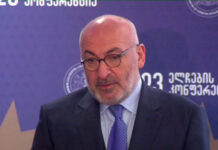 გამიხარდებოდა ელჩების კონფერენციაზე პრეზიდენტი რომ მენახა – საფრანგეთში საქართველოს ელჩი