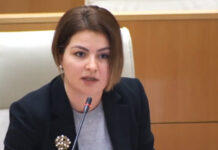 როდესაც ქვეყნის ღირსებას აყენებენ დარტყმას, პრემიერი იმალება, ესაა მისი “ლიდერული” უნარები – ნაცვლიშვილი